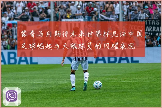 蒙哥马利期待未来世界杯见证中国足球崛起与天赋球员的闪耀表现